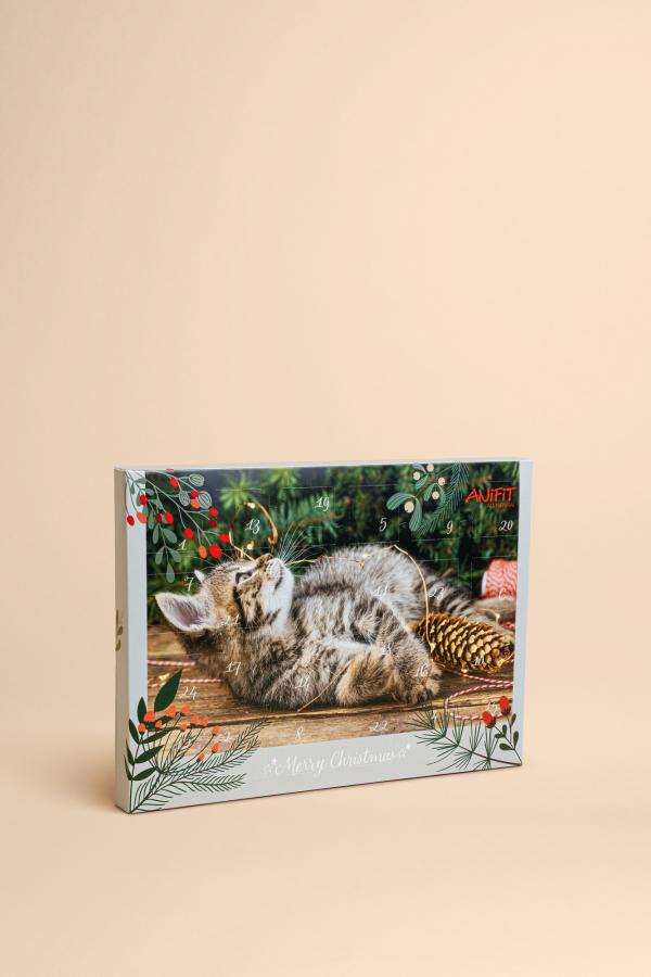 Calendario dell'Avvento per gatti