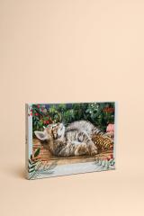 Calendario dell'Avvento per gatti